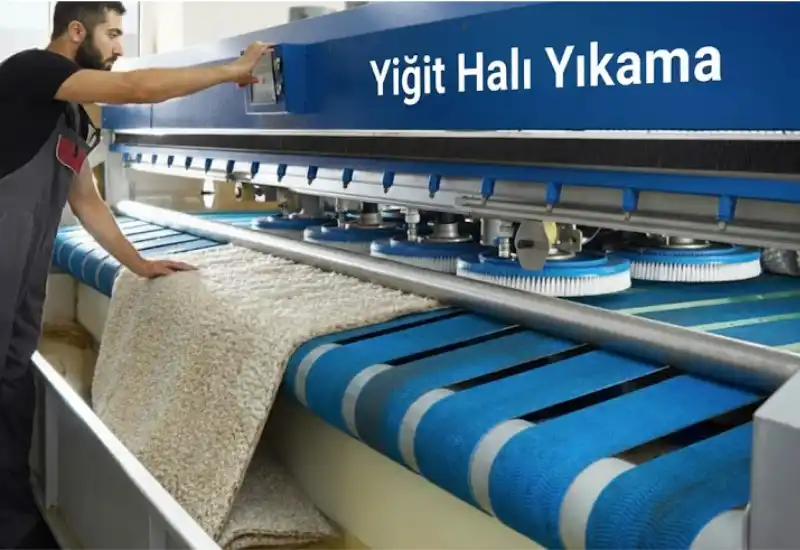 halı yıkama